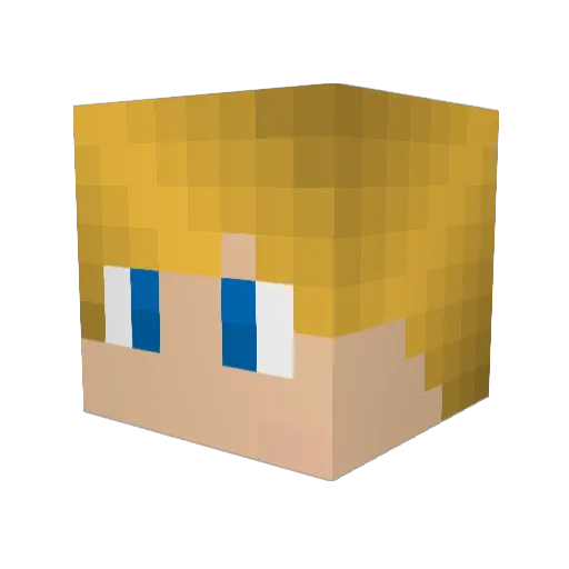 0pf4 Minecraft avatar head, 3D render