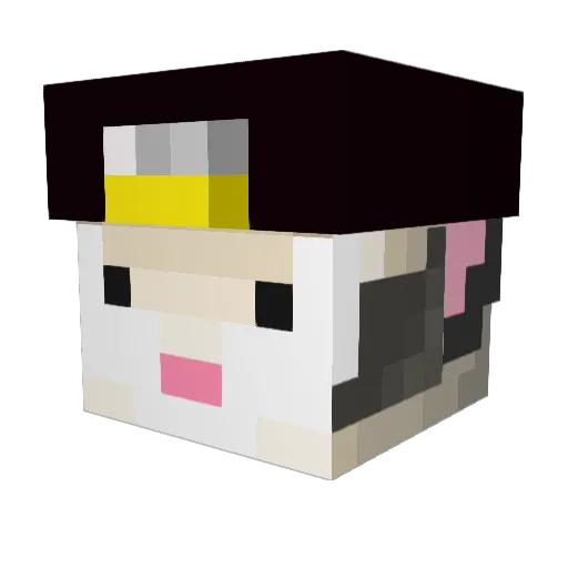 0possum0 Minecraft avatar head, 3D render