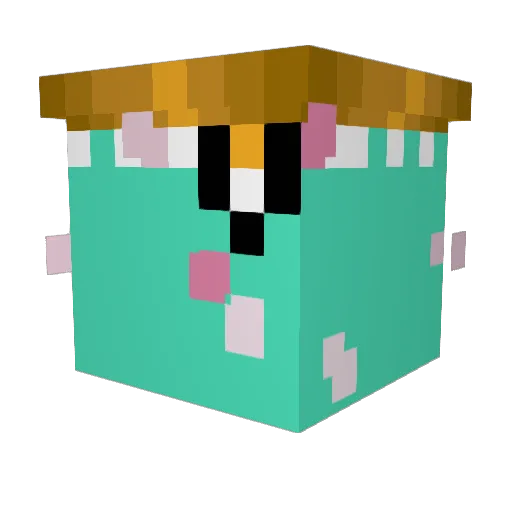 0ppium Minecraft avatar head, 3D render