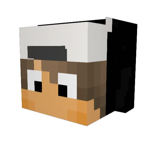 0pull_up_carti0 Minecraft avatar head, 3D render