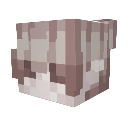 0qx0 Minecraft avatar head, 3D render
