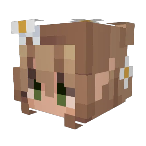 0r30s91 Minecraft avatar head, 3D render