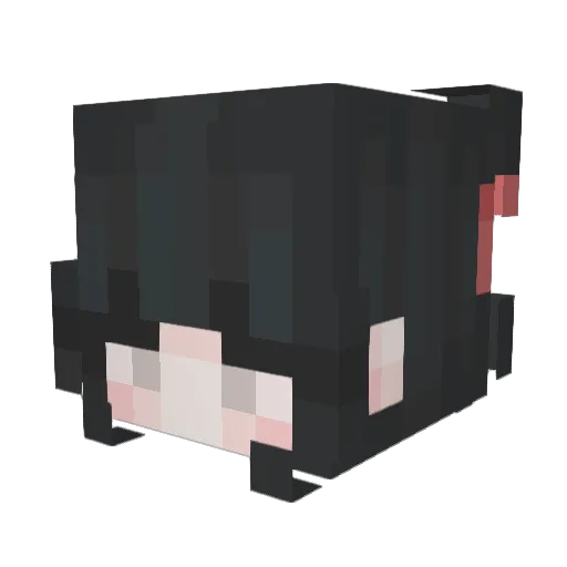 0reoa Minecraft avatar head, 3D render