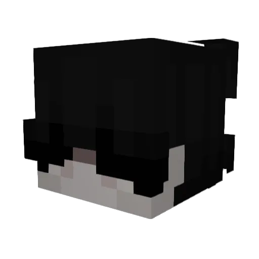 0rib_ Minecraft avatar head, 3D render