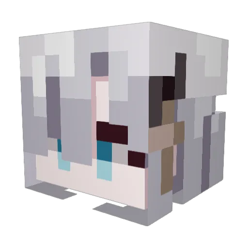 0richa Minecraft avatar head, 3D render