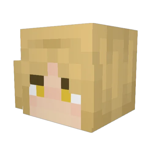 0rnst3in Minecraft avatar head, 3D render