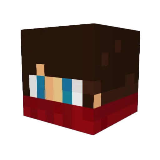 0robinhd0 Minecraft avatar head, 3D render