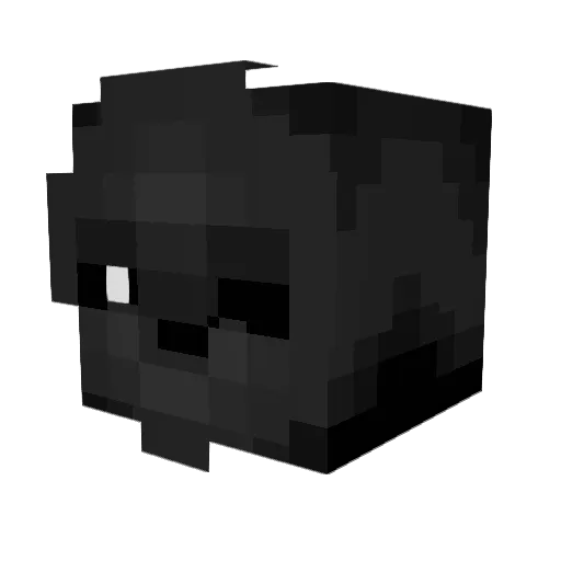 0rook0 Minecraft avatar head, 3D render