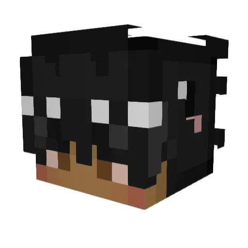 0samab1nball1n Minecraft avatar head, 3D render