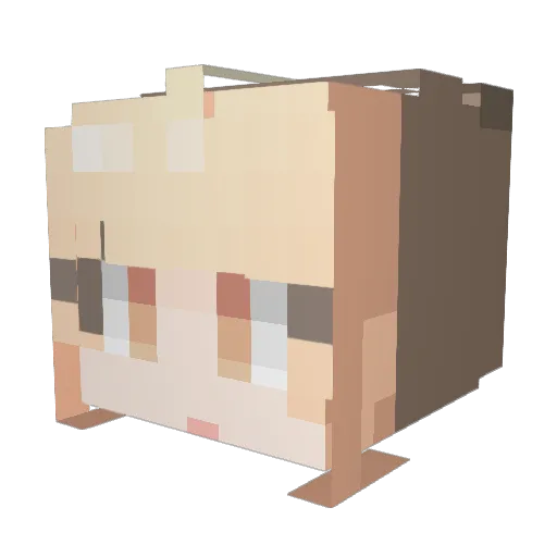 0samgyeobsal0 Minecraft avatar head, 3D render
