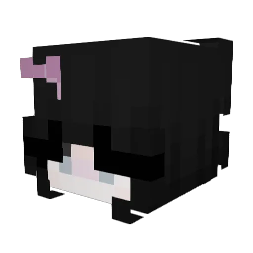 0sarahbear Minecraft avatar head, 3D render