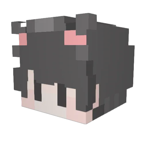 0se_ Minecraft avatar head, 3D render