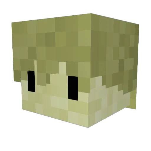 0sername Minecraft avatar head, 3D render