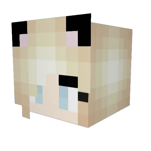 0starlight3 Minecraft avatar head, 3D render