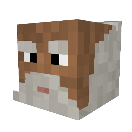 0tiz__ Minecraft avatar head, 3D render
