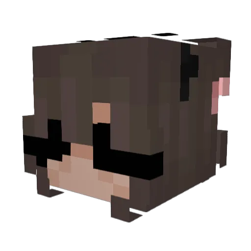 0toxic_waste0 Minecraft avatar head, 3D render