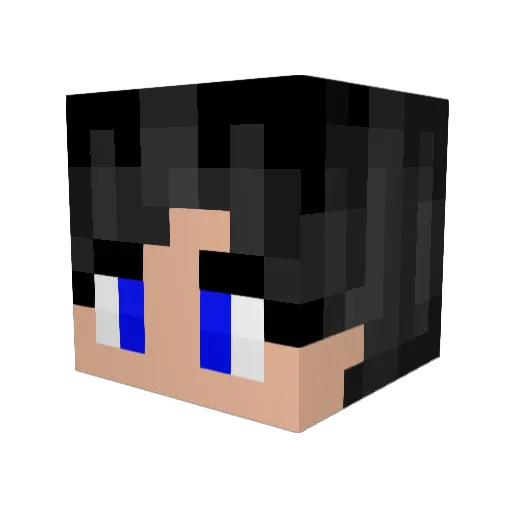 0ufo Minecraft avatar head, 3D render