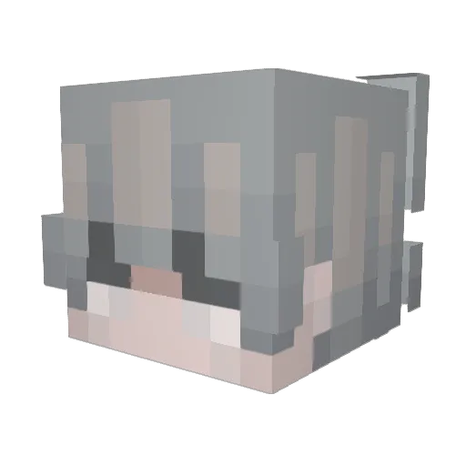 0verThrow Minecraft avatar head, 3D render