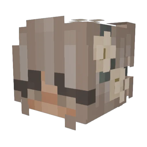 0veralls Minecraft avatar head, 3D render