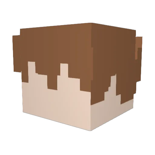 0wieee Minecraft avatar head, 3D render