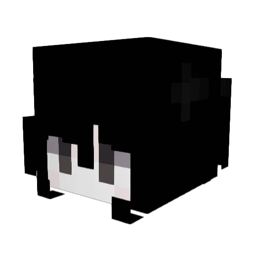 0wwn Minecraft avatar head, 3D render