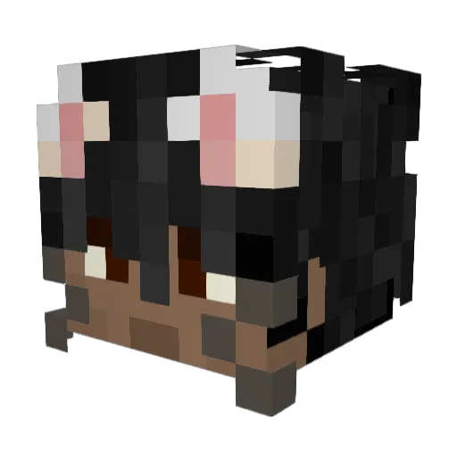 0x127 Minecraft avatar head, 3D render