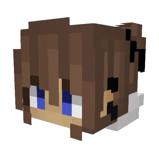 0x4141414141 Minecraft avatar head, 3D render