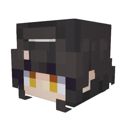0x9_ Minecraft avatar head, 3D render