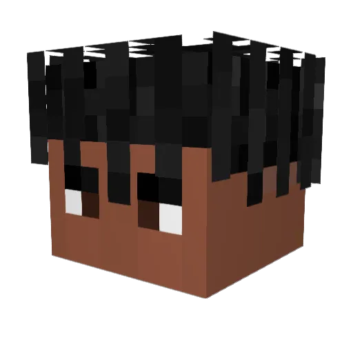 0xPugx0 Minecraft avatar head, 3D render