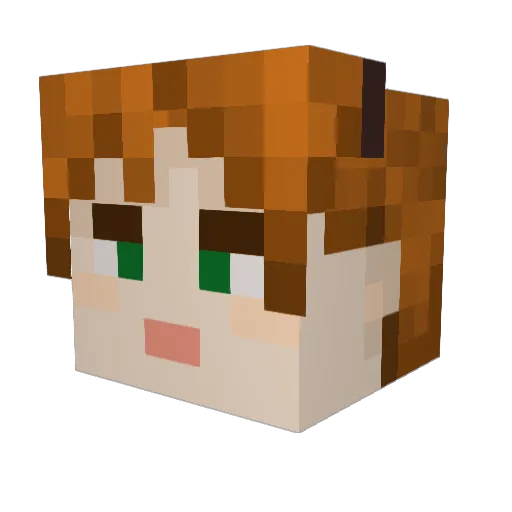 1001011101 Minecraft avatar head, 3D render