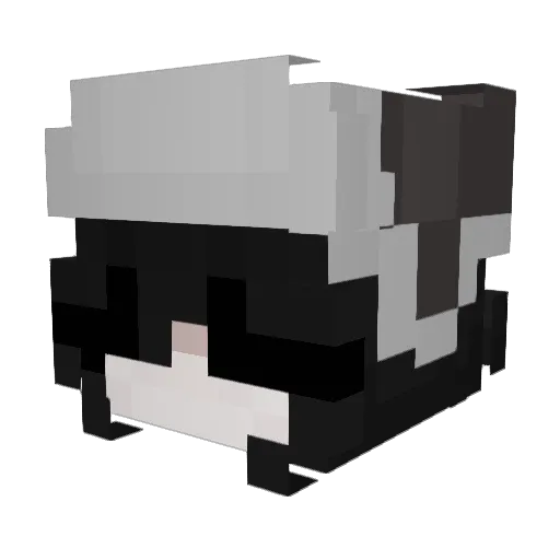 1001skyler Minecraft avatar head, 3D render