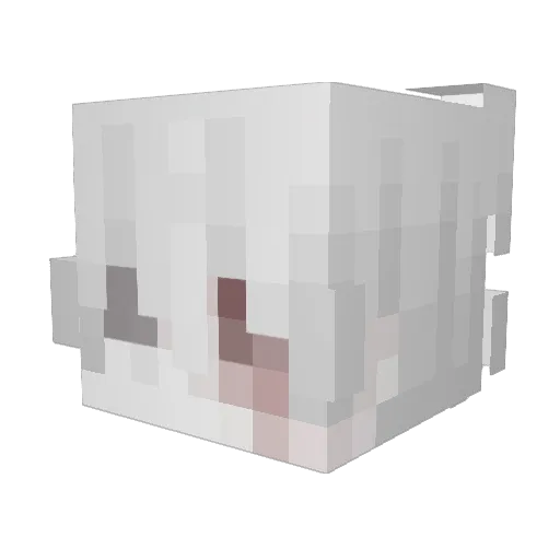 1002_ Minecraft avatar head, 3D render
