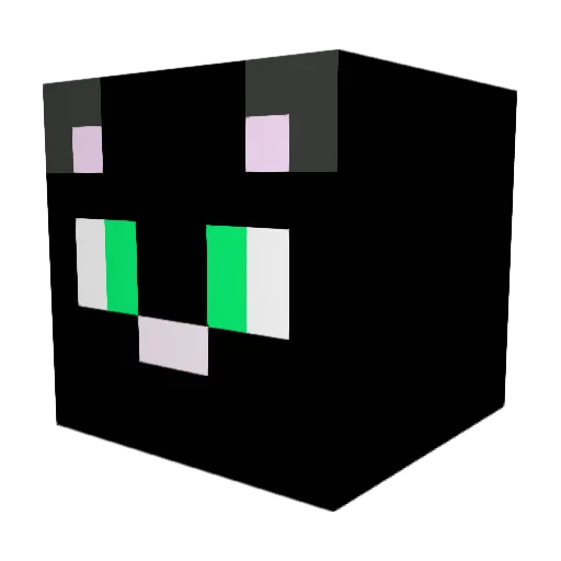 1004ngel Minecraft avatar head, 3D render