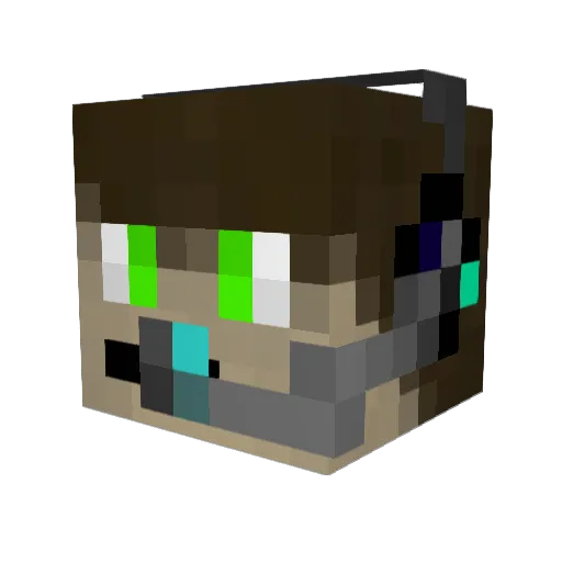 100Sp4rk100 Minecraft avatar head, 3D render