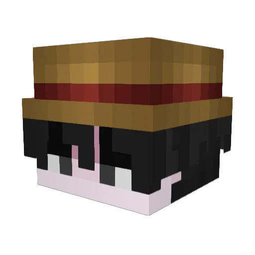 100kPureSkilll Minecraft avatar head, 3D render