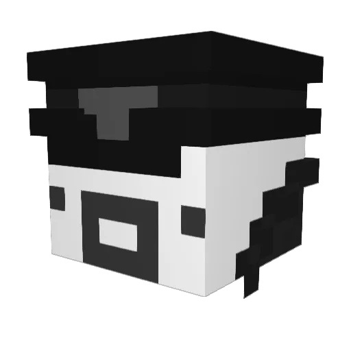 1010010101 Minecraft avatar head, 3D render