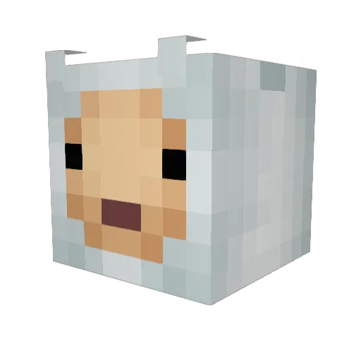 1011001 Minecraft avatar head, 3D render