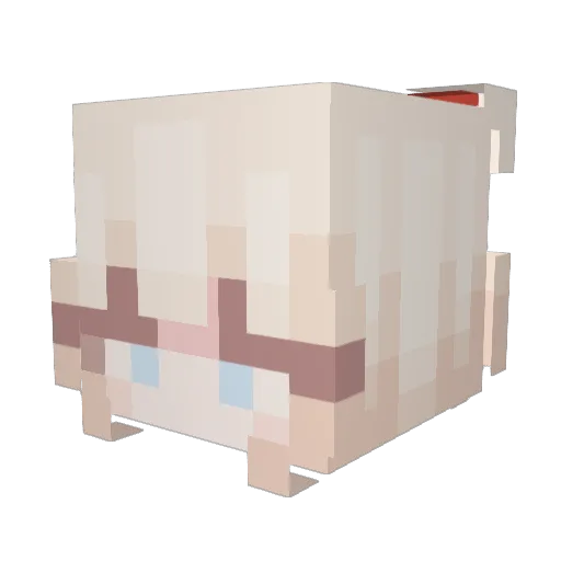 1024aa Minecraft avatar head, 3D render