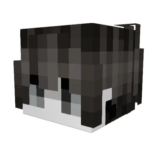 104s Minecraft avatar head, 3D render