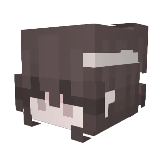 105fovcheater Minecraft avatar head, 3D render