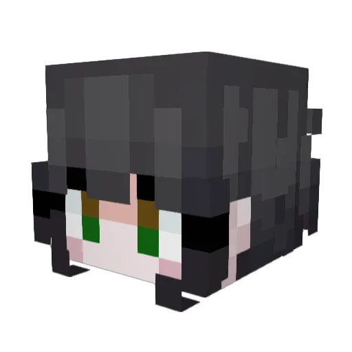 1072_Wah Minecraft avatar head, 3D render