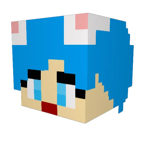 109dungi Minecraft avatar head, 3D render