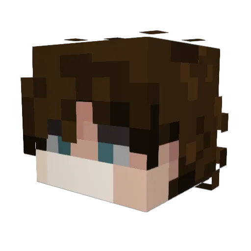 10Echoes01 Minecraft avatar head, 3D render