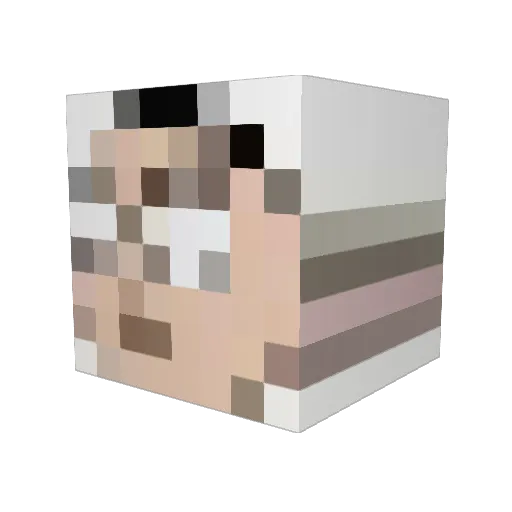 10InchNgiap Minecraft avatar head, 3D render