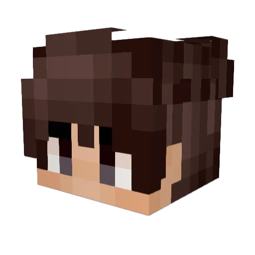 10Tage Minecraft avatar head, 3D render