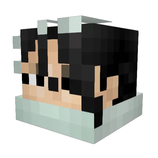 10YEARSINTHE Minecraft avatar head, 3D render