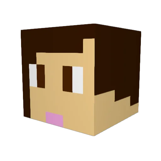 10_0_0_1 Minecraft avatar head, 3D render
