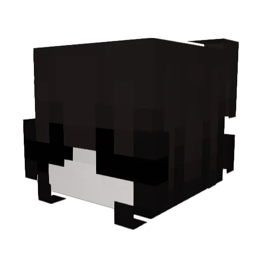 10_9_8_7_6_Hamoo Minecraft avatar head, 3D render