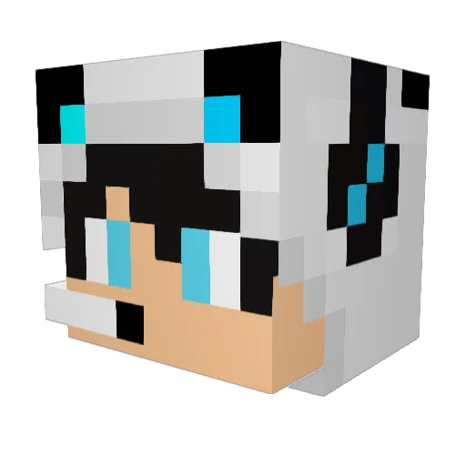 10_SharkBoy Minecraft avatar head, 3D render