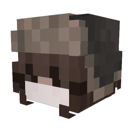10_v Minecraft avatar head, 3D render